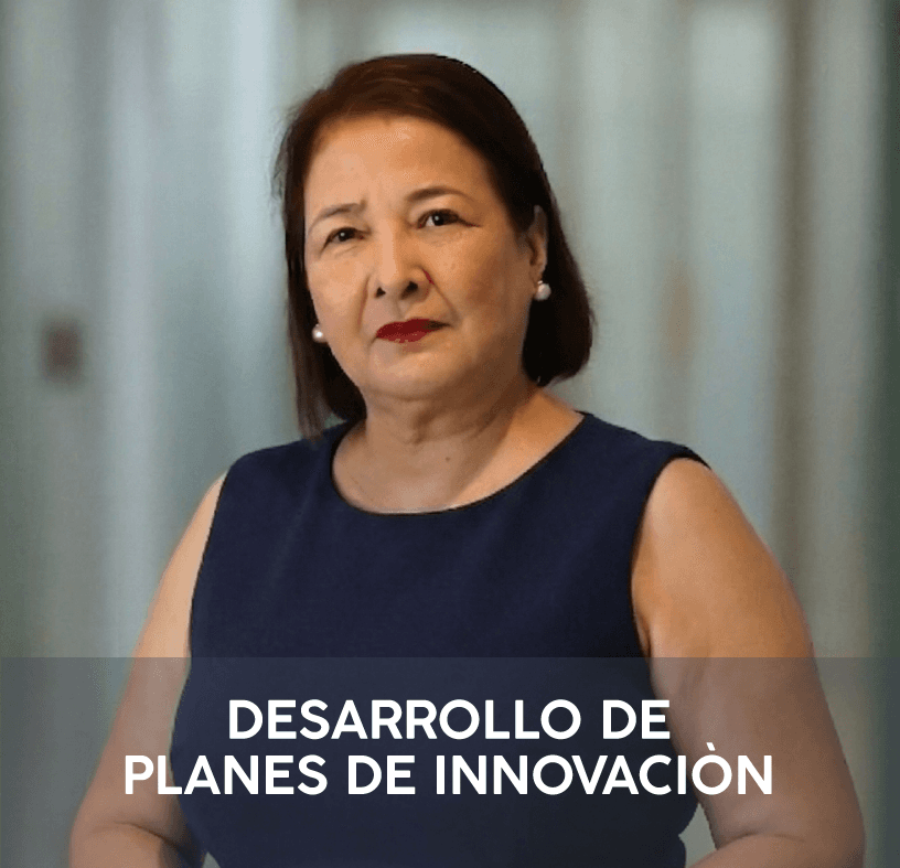 Consultora — Innovación y Desarrollo